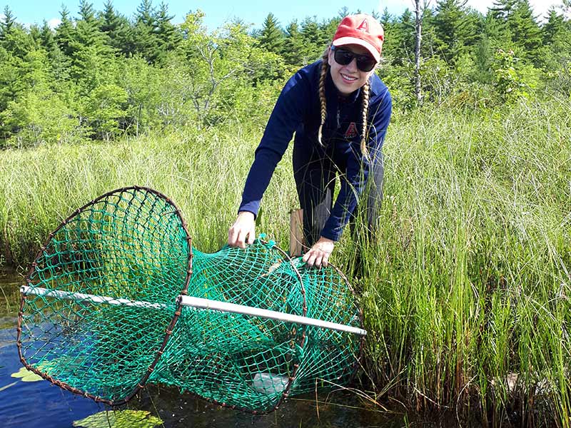 A student sets up a river net to collect specimens for study.